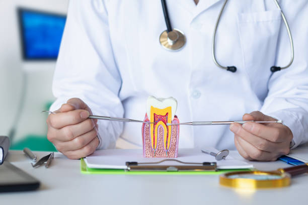 Best Root Canal Emergency Dentist  in Bargersville, IN